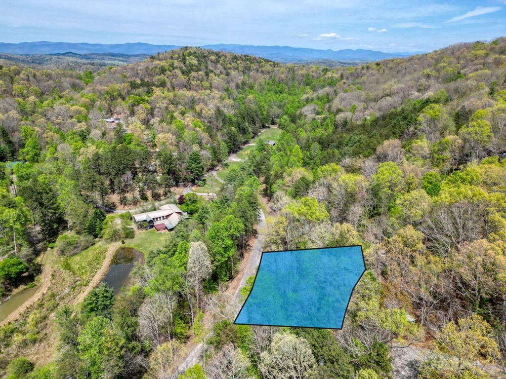 746 High Ridge Road Murphy, NC 28906 - Photo 44 of 44 a view of an outdoor space and a yard