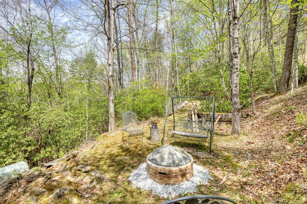 746 High Ridge Road Murphy, NC 28906 - Photo 6 of 44