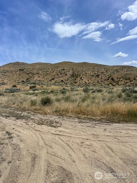 0 Lot 1 Bill Shaw Road Pateros, WA 98846 - Photo 19 of 23