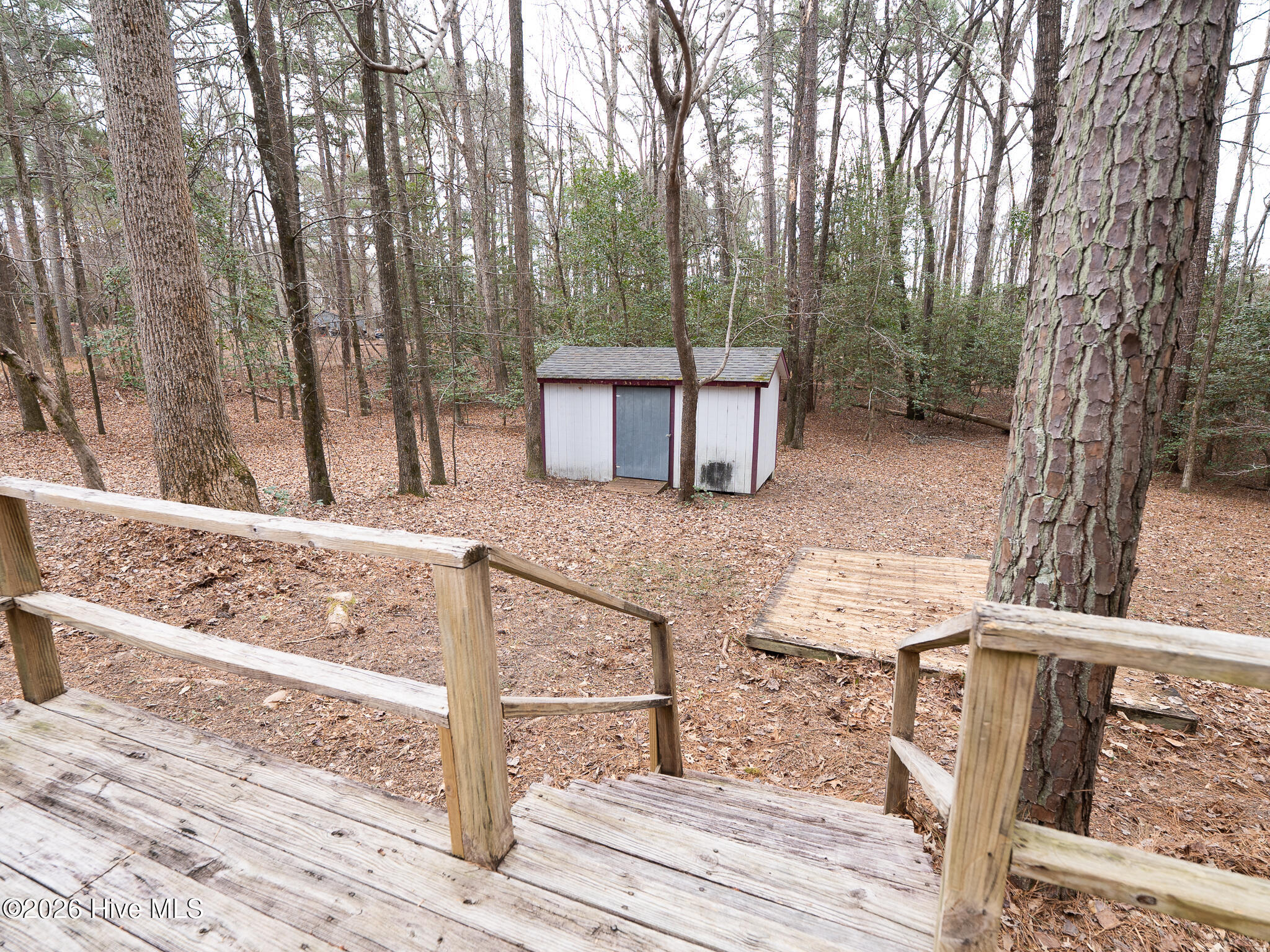 201 Poplar Street Carthage, NC 28327 - Photo 18 of 20 PoplarStreetListingLowRes-16