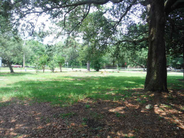 13103 5th Street Lillian, AL 36549 - Photo 36 of 37 Side yard