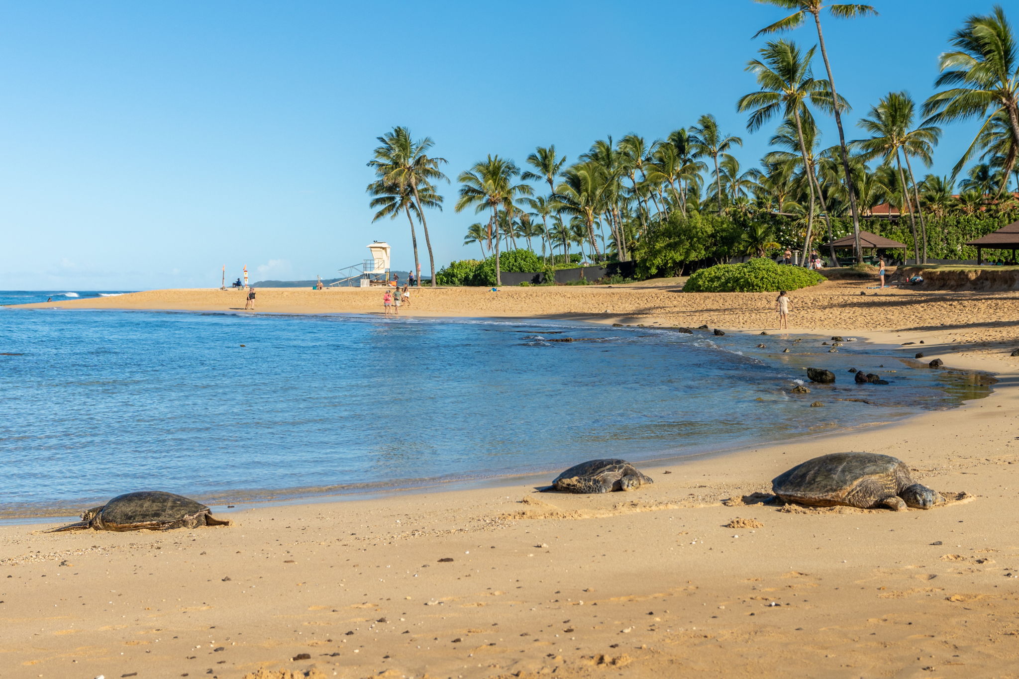 1901 Poipu Road, Unit 312 Koloa, HI 96756 - Photo 21 of 30 Gallery Image 21
