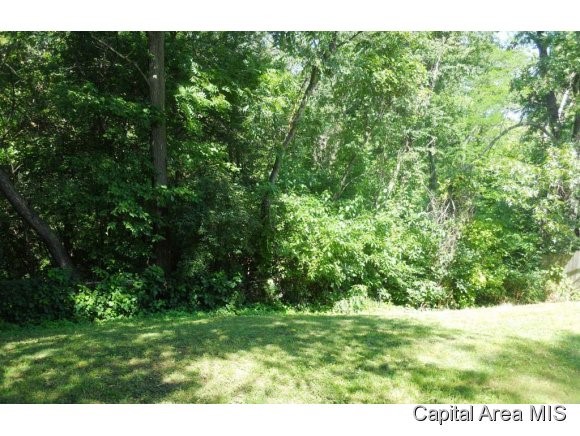 805 Diane Court Springfield, IL 62702 - Photo 2 of 12 Gallery Image 2