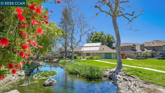 a view of a street with flower garden