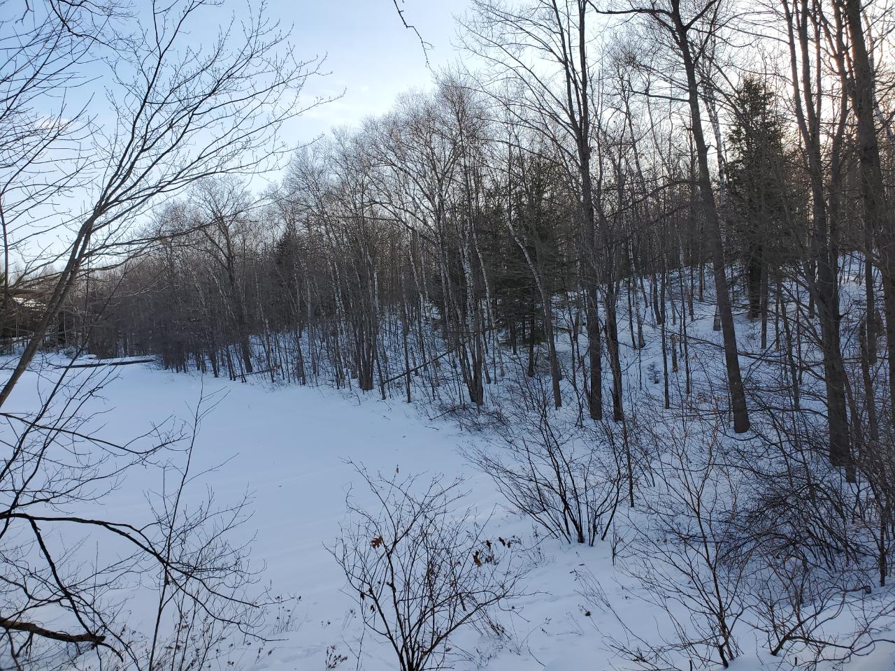 Lot 6 Shore Road Summit Lake, WI 54485 - Photo 2 of 4 Gallery Image 2