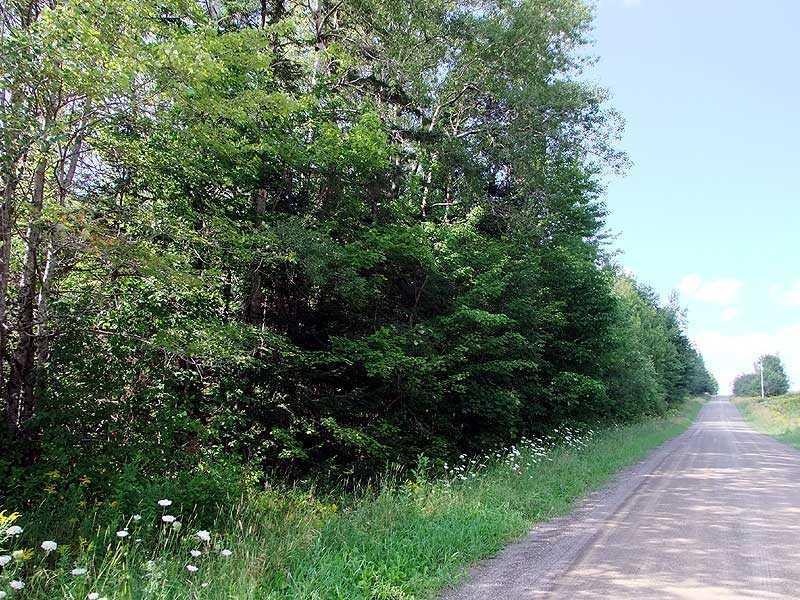 Lot 2 Clark Settlement Road Merrill, ME 04780 - Photo 8 of 15 Land.