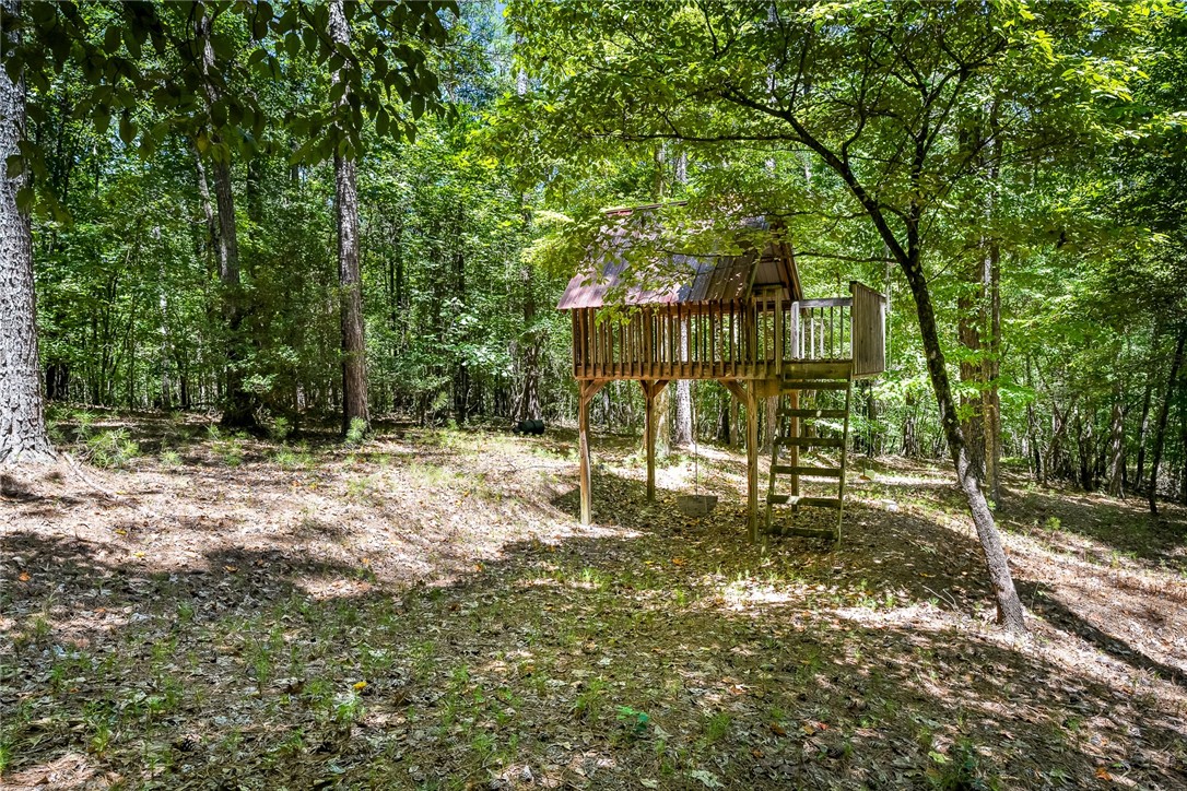 707 Lightwind Court Seneca, SC 29672 - Photo 45 of 49 Gallery Image 45