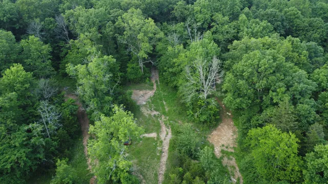 a view of a lush green forest with trees and houses