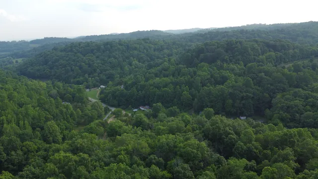 a view of a valley with a mountain in the background