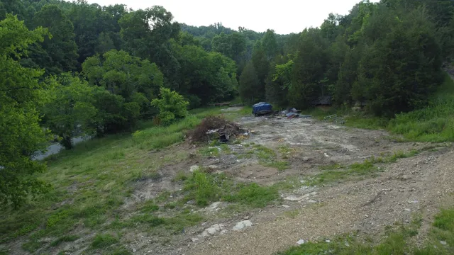 a view of a forest with trees in the background