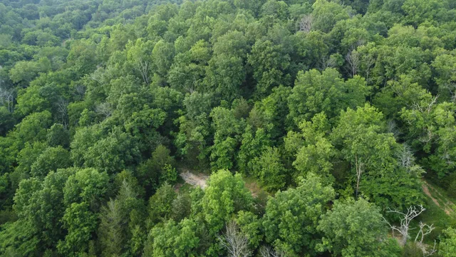 an aerial view of residential house with outdoor space and trees all around