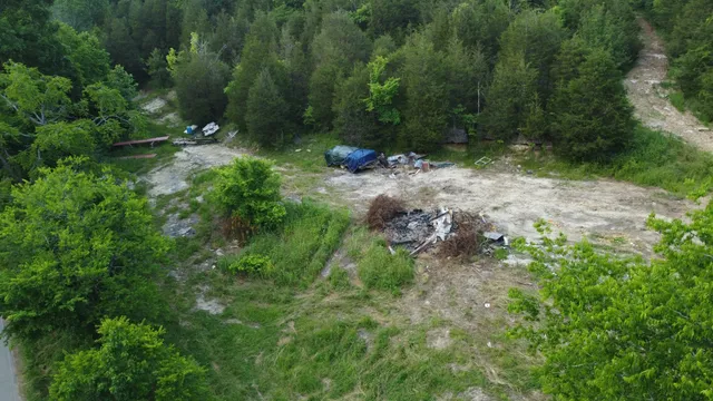 a view of trees and bushes