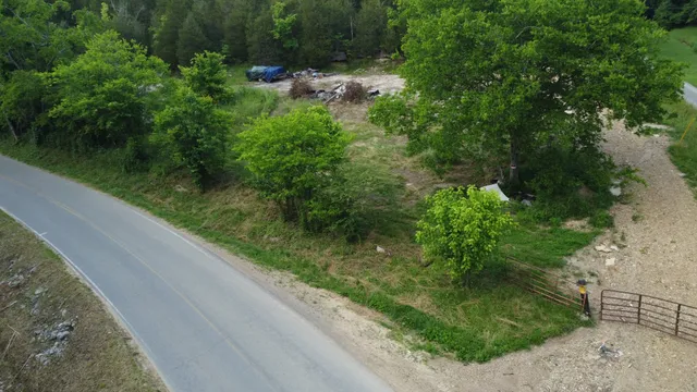 a view of a garden from a balcony