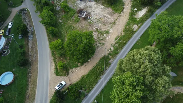 a view of a yard with plants