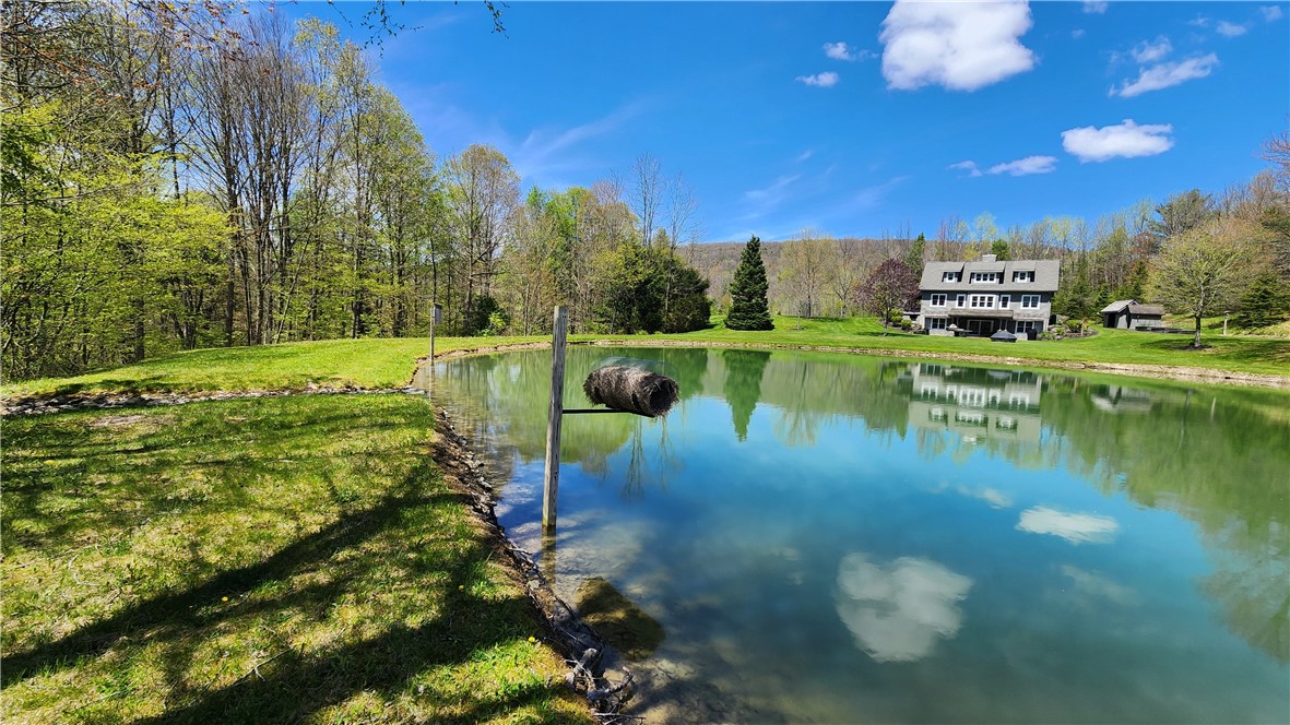 4810 Kirkwood Road Cohocton, NY 14826 - Photo 2 of 47