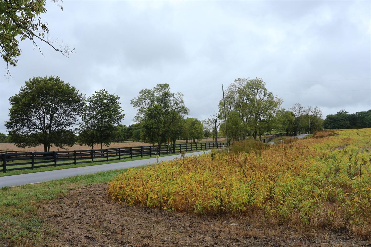 3213 Ironworks Road Georgetown, KY 40324 - Photo 4 of 16 Photo 4