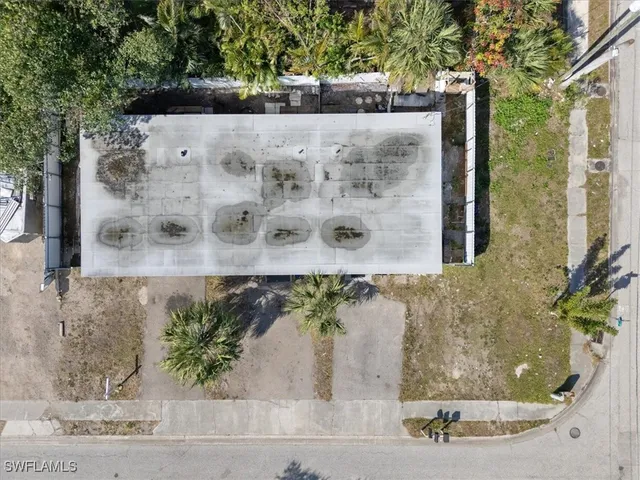 a view of a potted plants on a brick wall