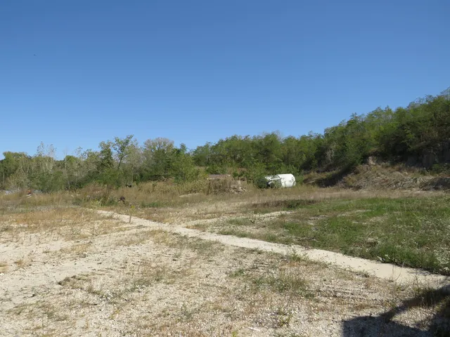 a view of a field with trees in the background