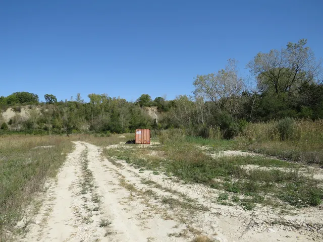 a view of a yard with a lake view