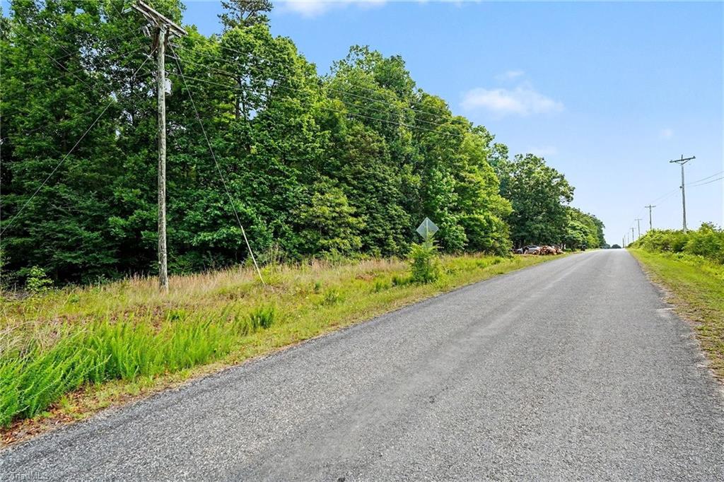 270 Della Wilson Road Lexington, NC 27295 - Photo 3 of 23