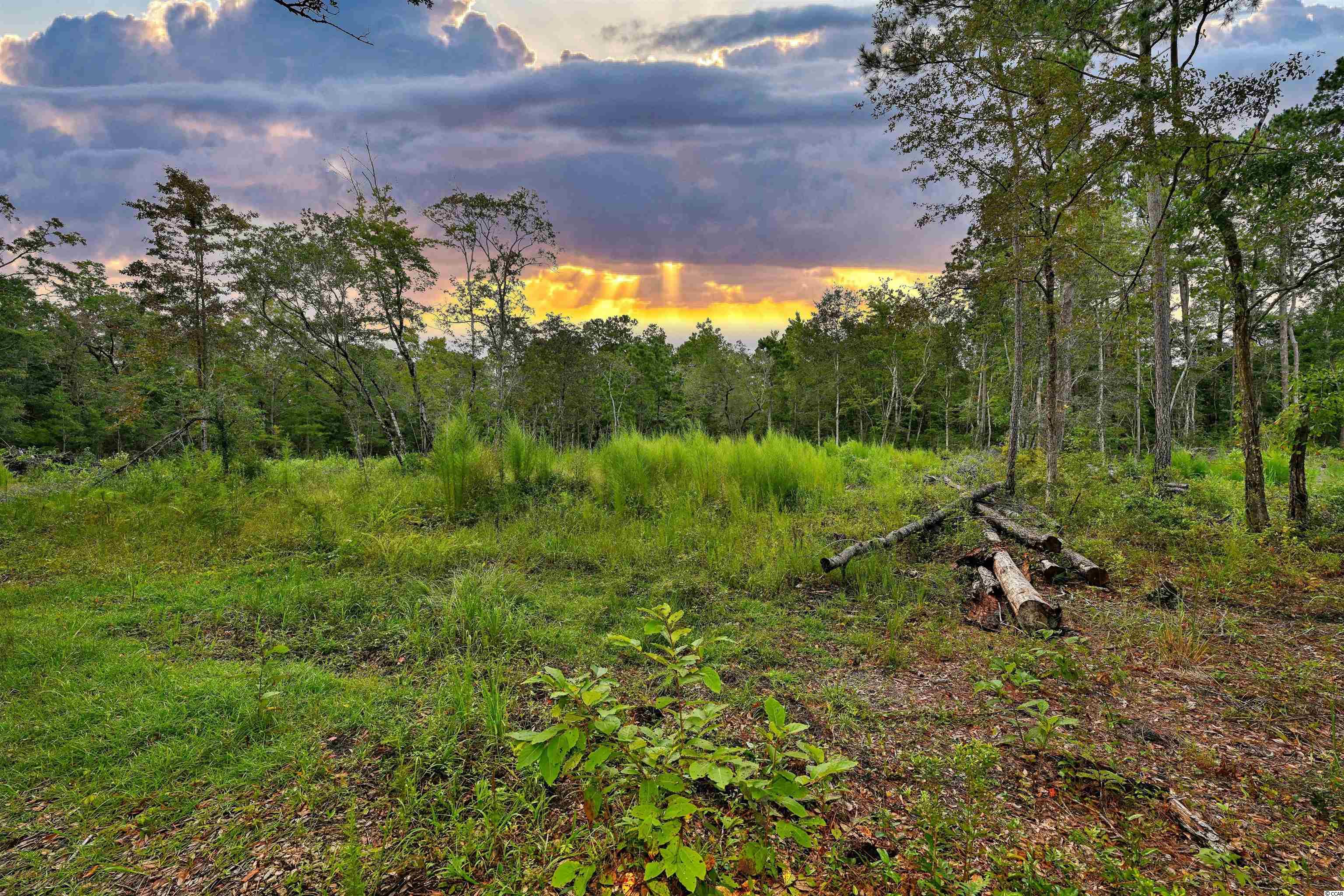 Tbd Old Tram Road Little River, SC 29566 - Photo 2 of 29 Gallery Image 2