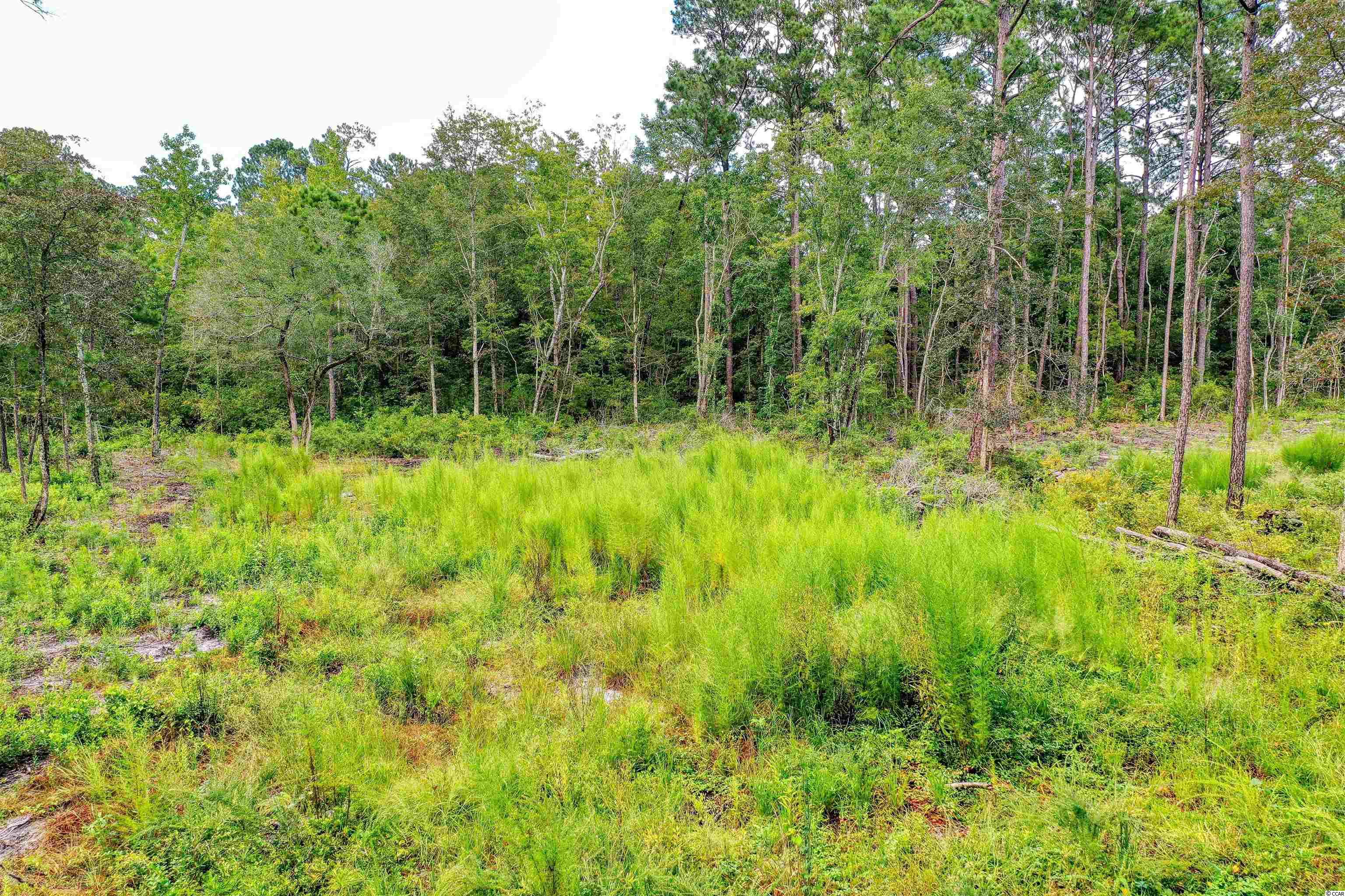 Tbd Old Tram Road Little River, SC 29566 - Photo 24 of 29 Gallery Image 24