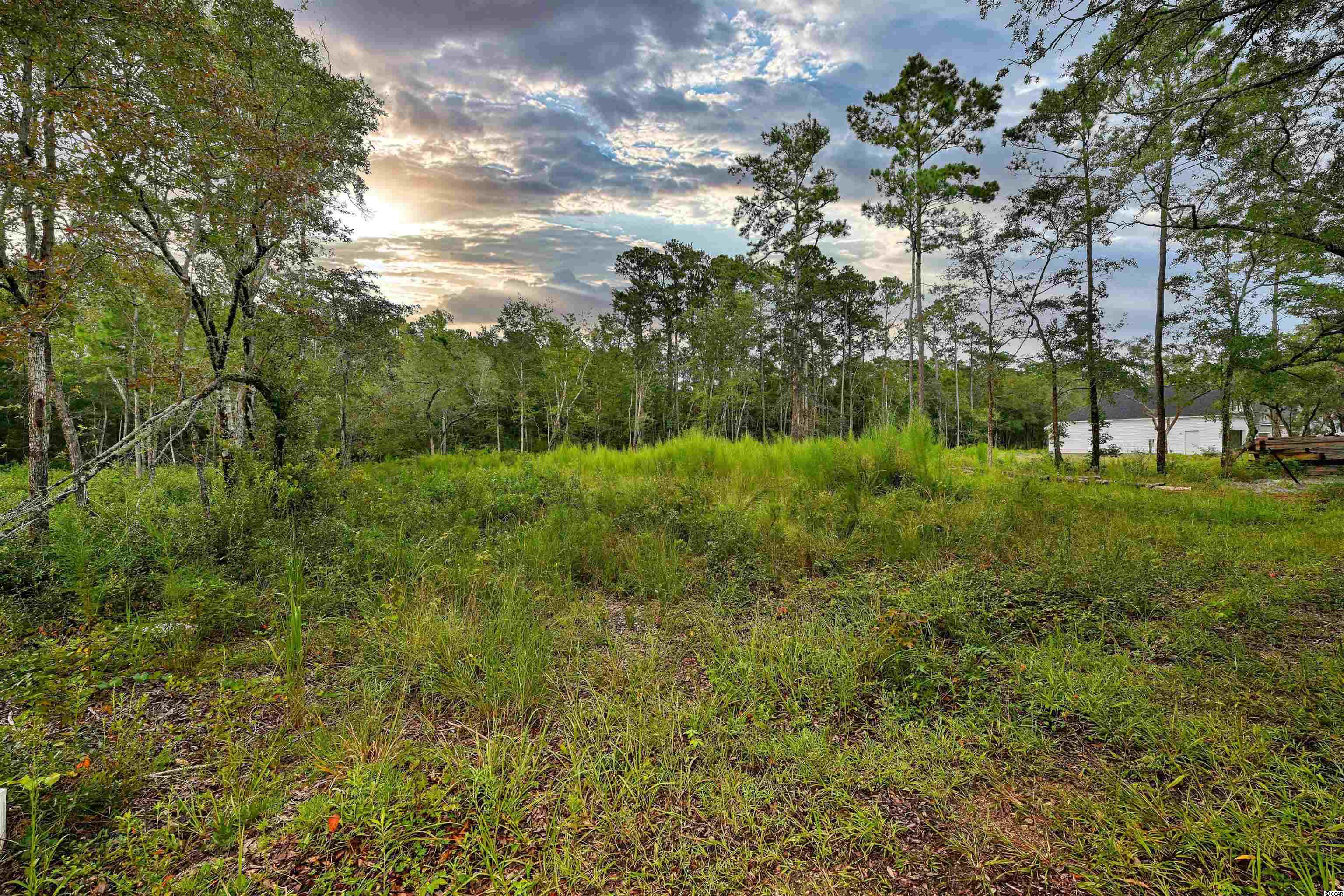 Tbd Old Tram Road Little River, SC 29566 - Photo 27 of 29 Gallery Image 27