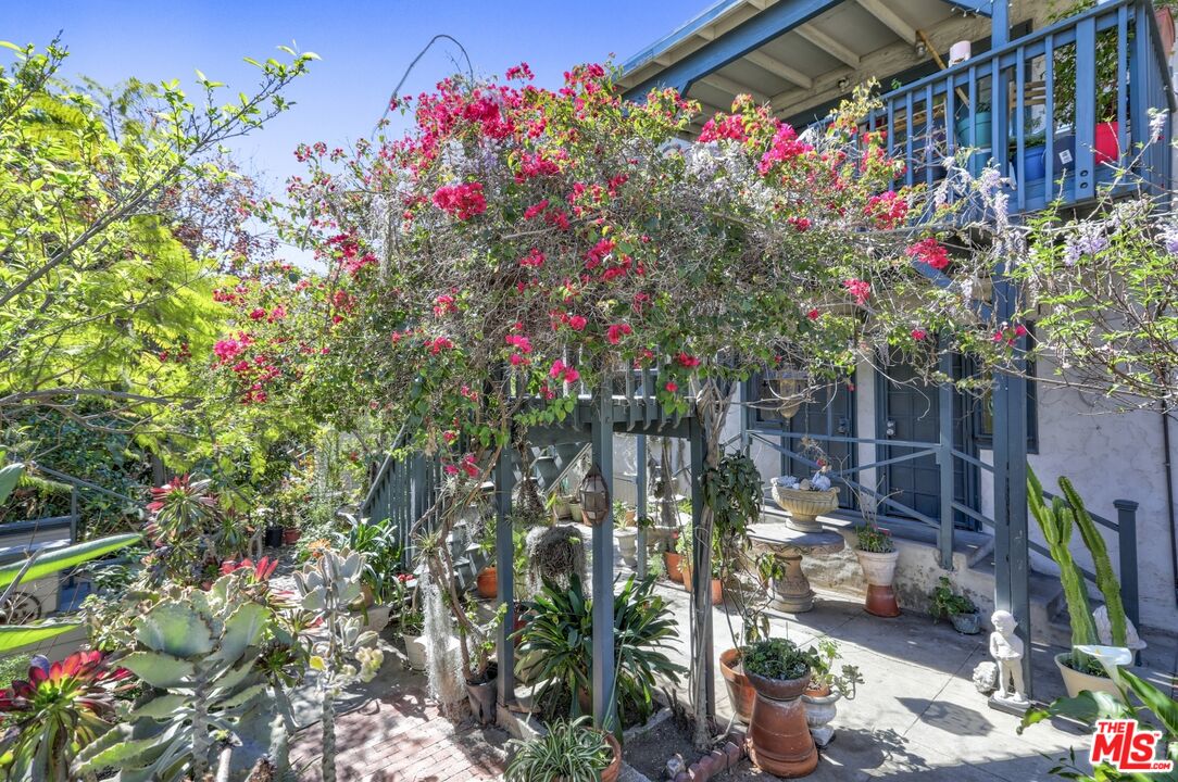1126 Mohawk Street Los Angeles, CA 90026 - Photo 29 of 47 a flower plants