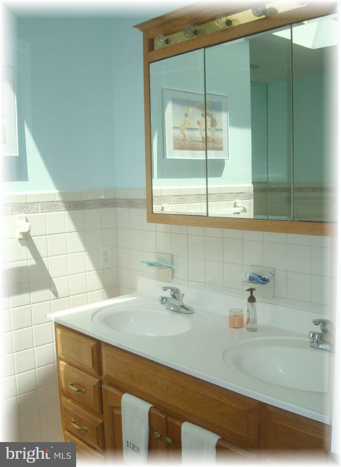 301 Bowleys Quarters Road Baltimore, MD 21220 - Photo 23 of 30 a bathroom with a sink and a mirror