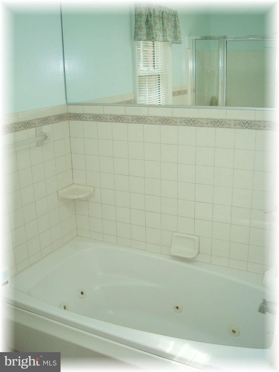 301 Bowleys Quarters Road Baltimore, MD 21220 - Photo 24 of 30 a bathroom with a bathtub
