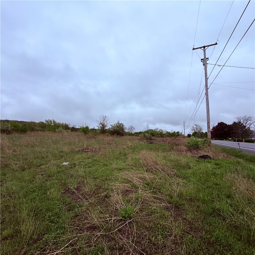 0 Reeds Corners Road Dansville, NY 14437 - Photo 12 of 13