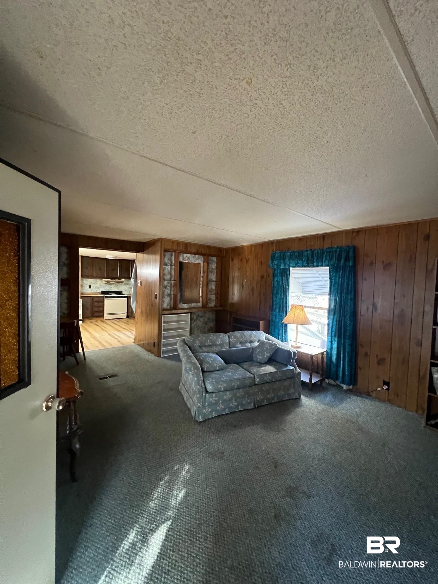 1332 Ridgewood Drive Lillian, AL 36549 - Photo 32 of 32 Unfurnished living room featuring carpet flooring, wood walls, and a textured ceiling