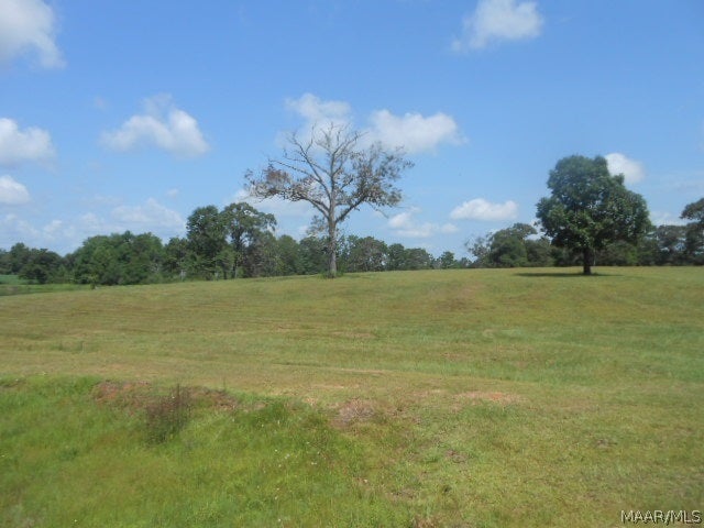 437 Grady Morgan Road Samson, AL 36477 - Photo 35 of 35 Gallery Image 35