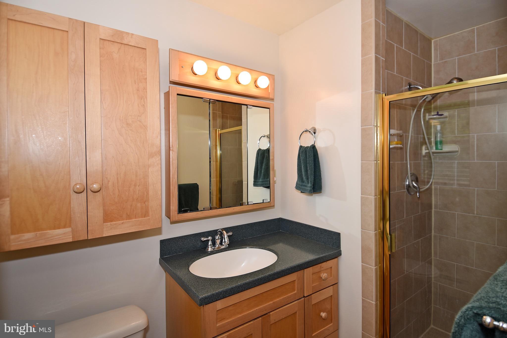 701 Springloch Road Silver Spring, MD 20904 - Photo 16 of 30 Bath (Master)