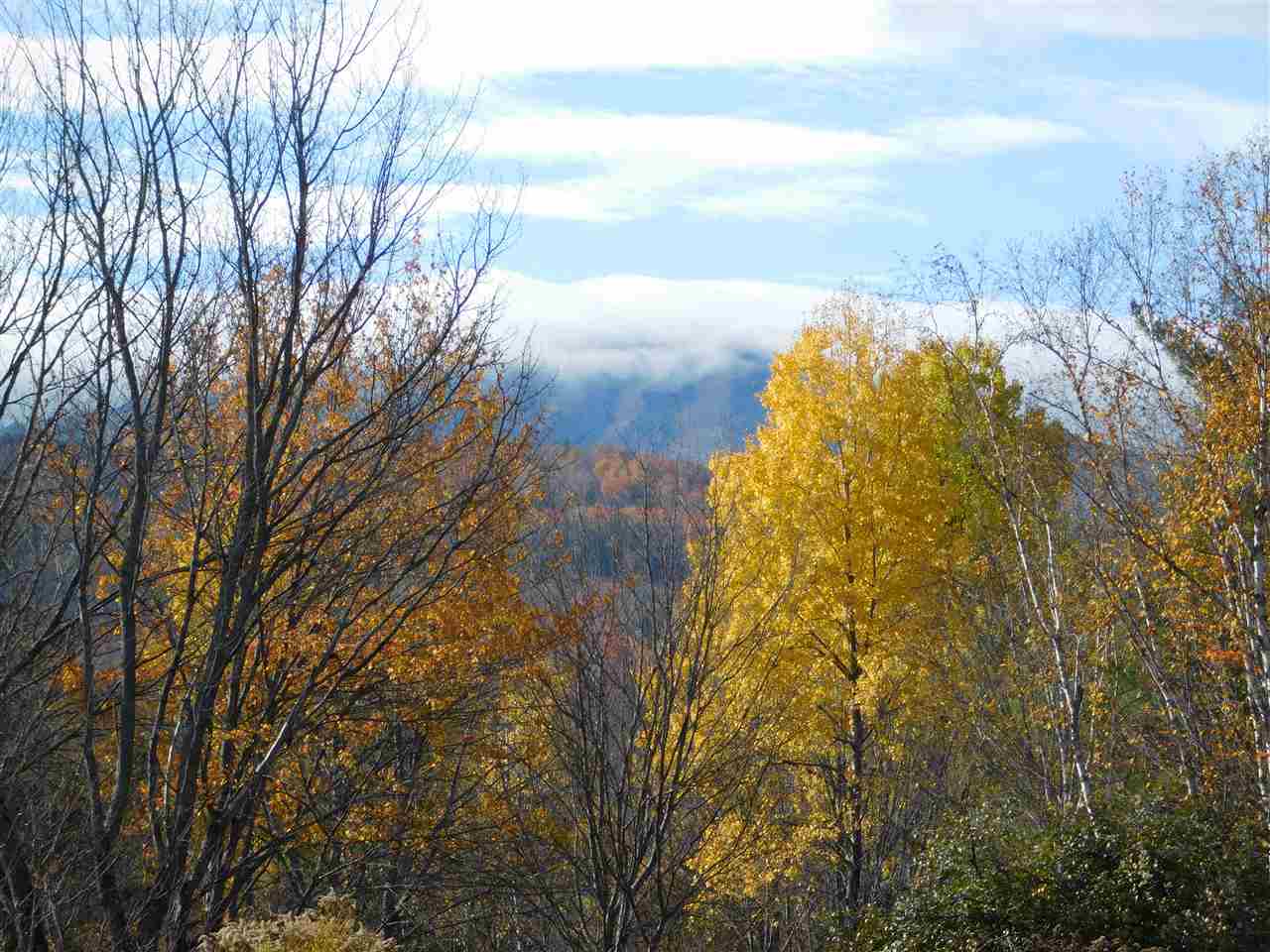 46 Winhall Hollow Road Winhall, VT 05340 - Photo 2 of 8