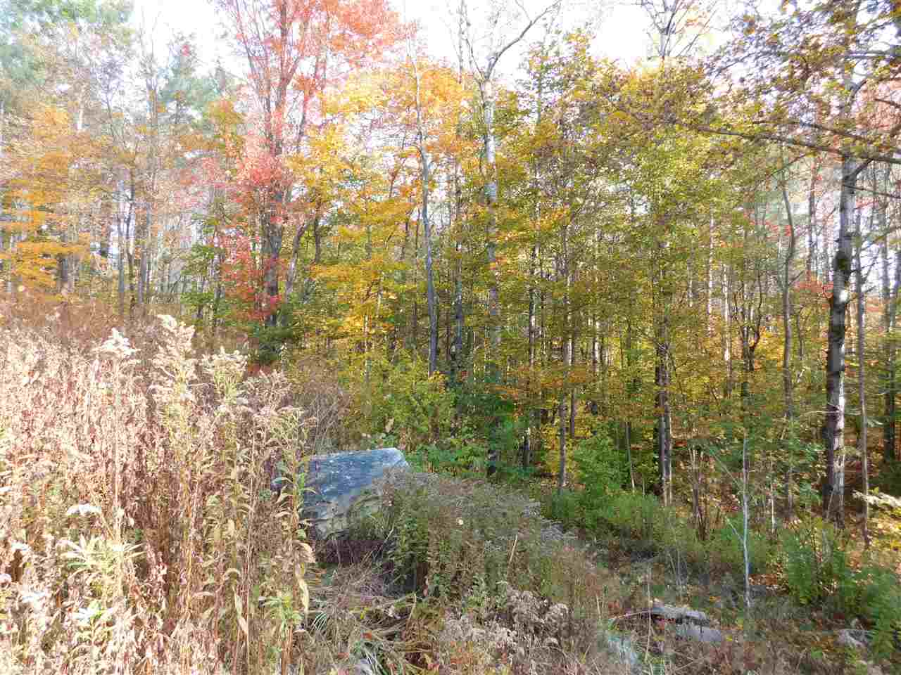 46 Winhall Hollow Road Winhall, VT 05340 - Photo 6 of 8