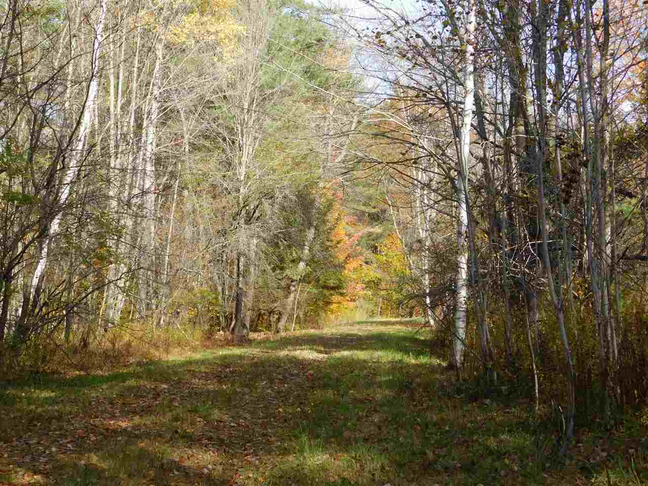 46 Winhall Hollow Road Winhall, VT 05340 - Photo 7 of 8