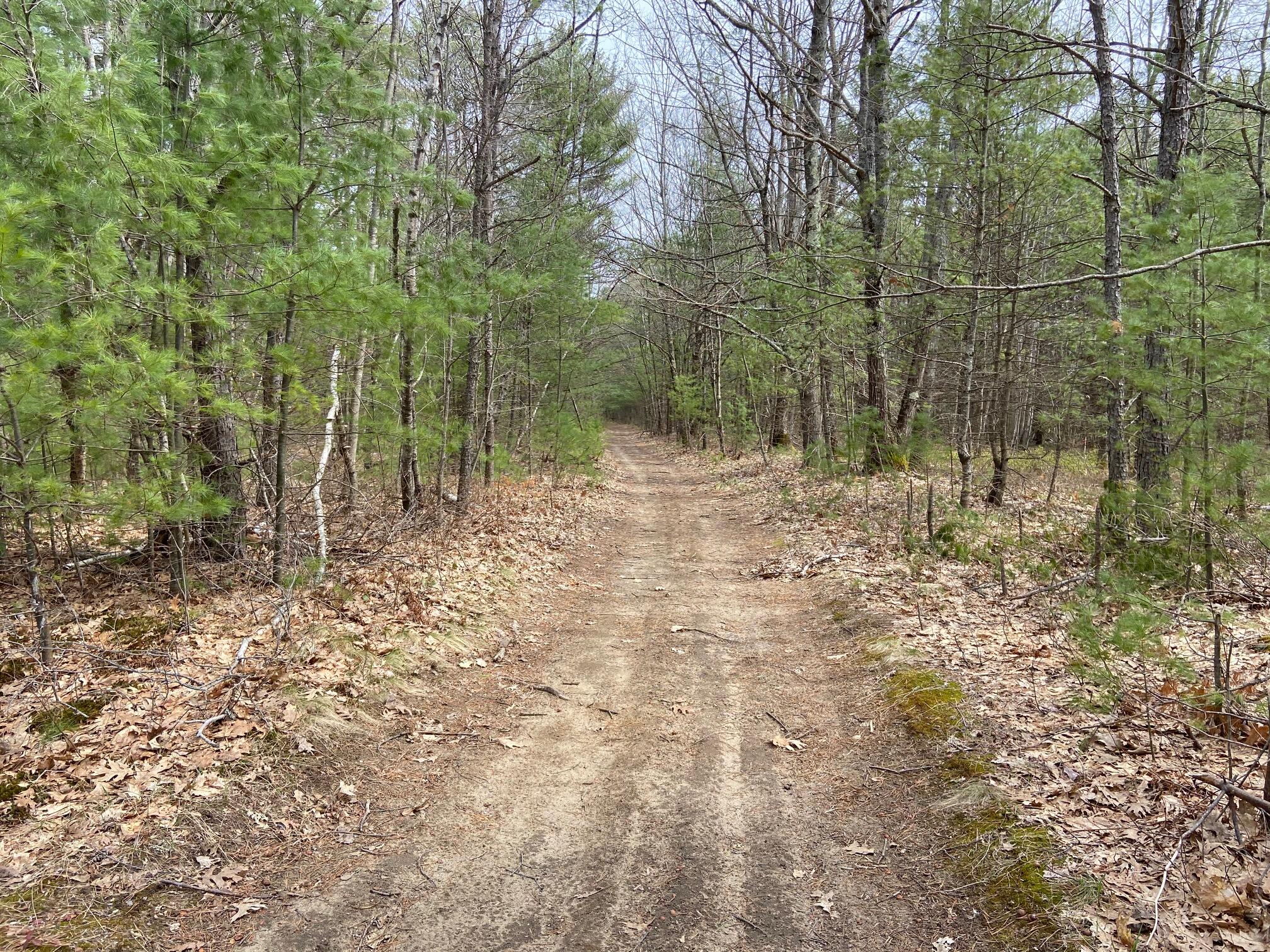 15 Coltons Way Saco, ME 04072 - Photo 3 of 26 IMG_2410