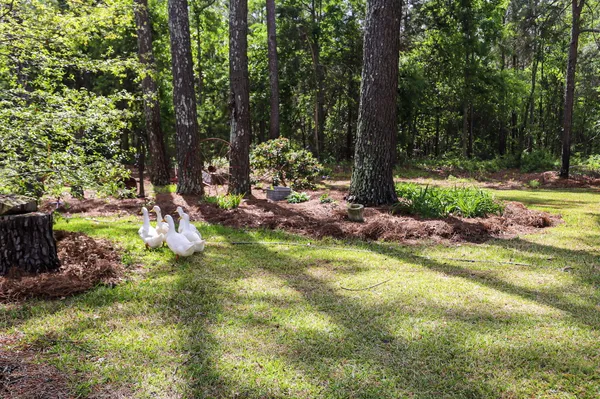$560,000 | 9466 Clarks Mill Road, Avera, GA 30803