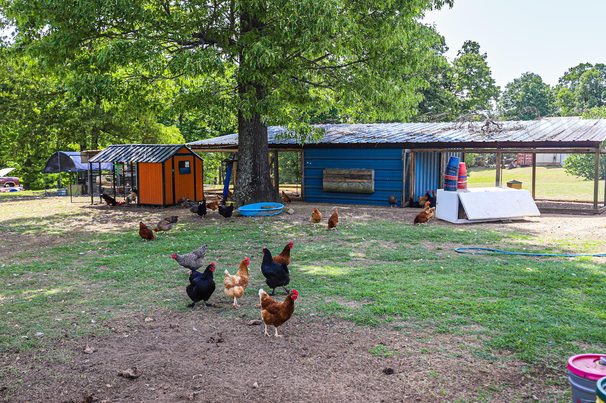 9466 Clarks Mill Road Avera, GA 30803 - Photo 67 of 73 77-web-or-mls-8-IMG_7052