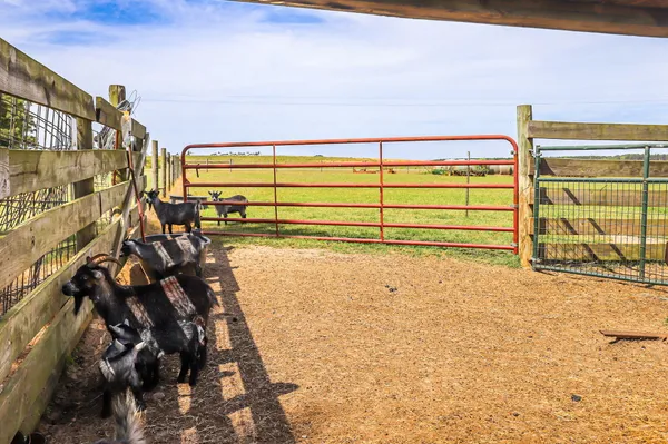 $560,000 | 9466 Clarks Mill Road, Avera, GA 30803