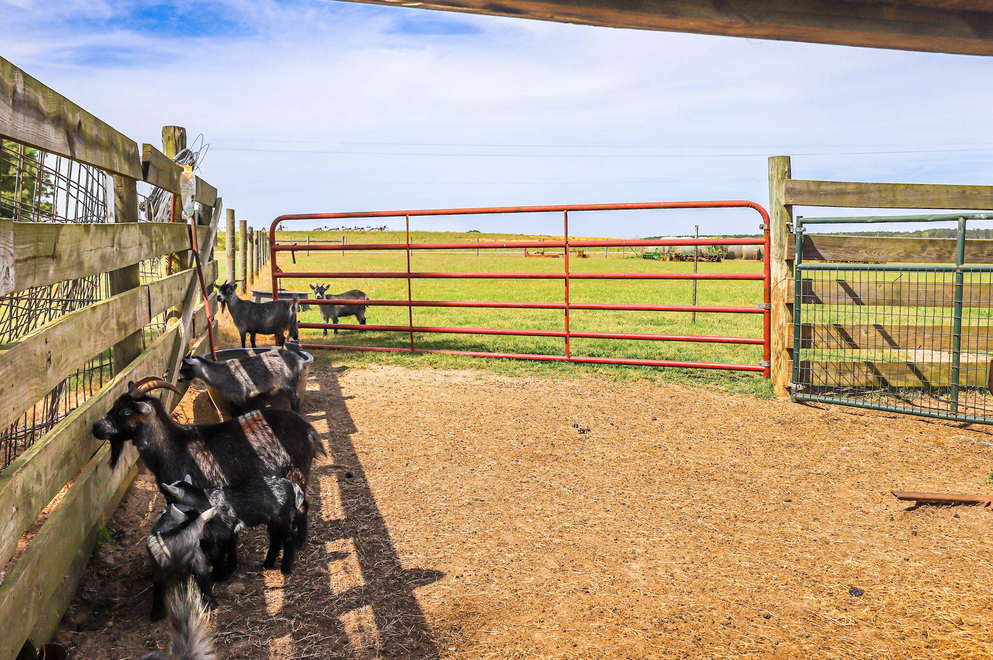 9466 Clarks Mill Road Avera, GA 30803 - Photo 68 of 73 78-web-or-mls-9-IMG_7053