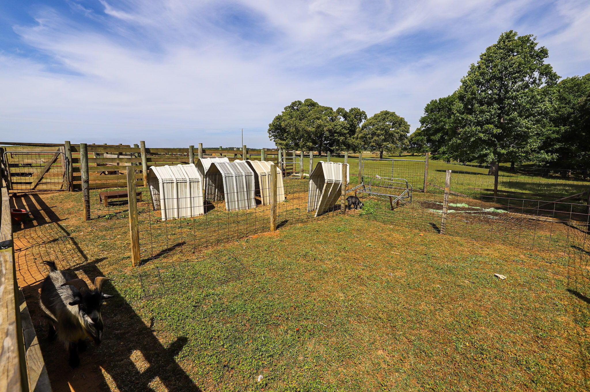 9466 Clarks Mill Road Avera, GA 30803 - Photo 69 of 73 80-web-or-mls-11-IMG_7055