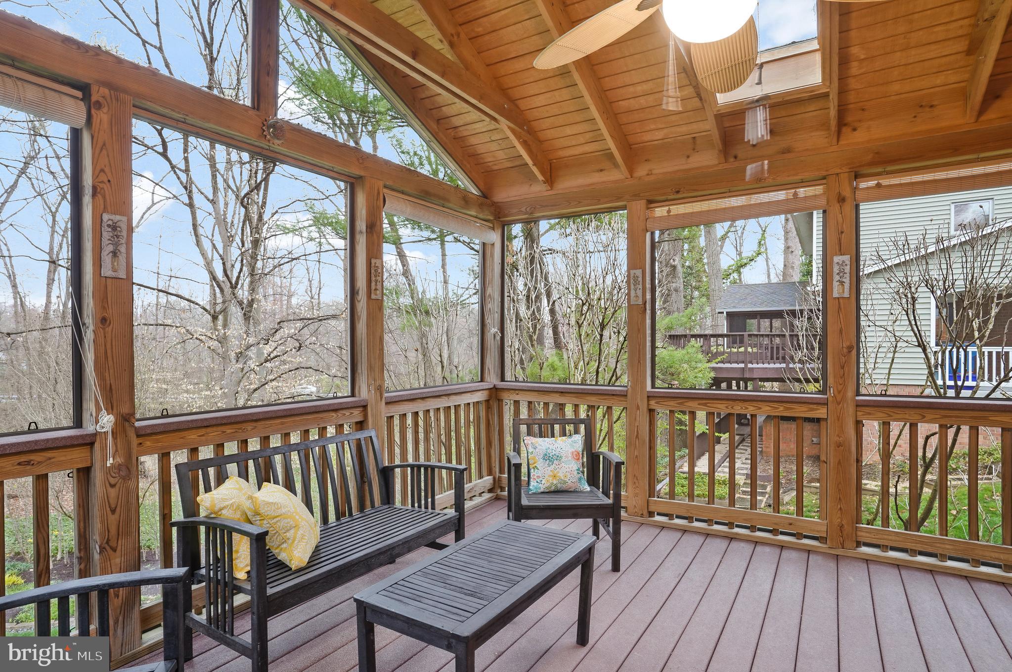 8437 Thames Street Springfield, VA 22151 - Photo 11 of 42 Very Peaceful Space to Enjoy the Birds and Nature