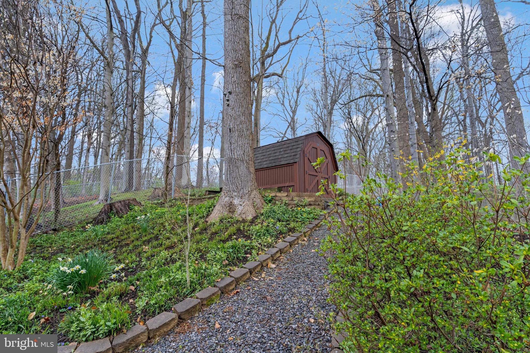 8437 Thames Street Springfield, VA 22151 - Photo 36 of 42 Storage Shed and Wood Storage Spot