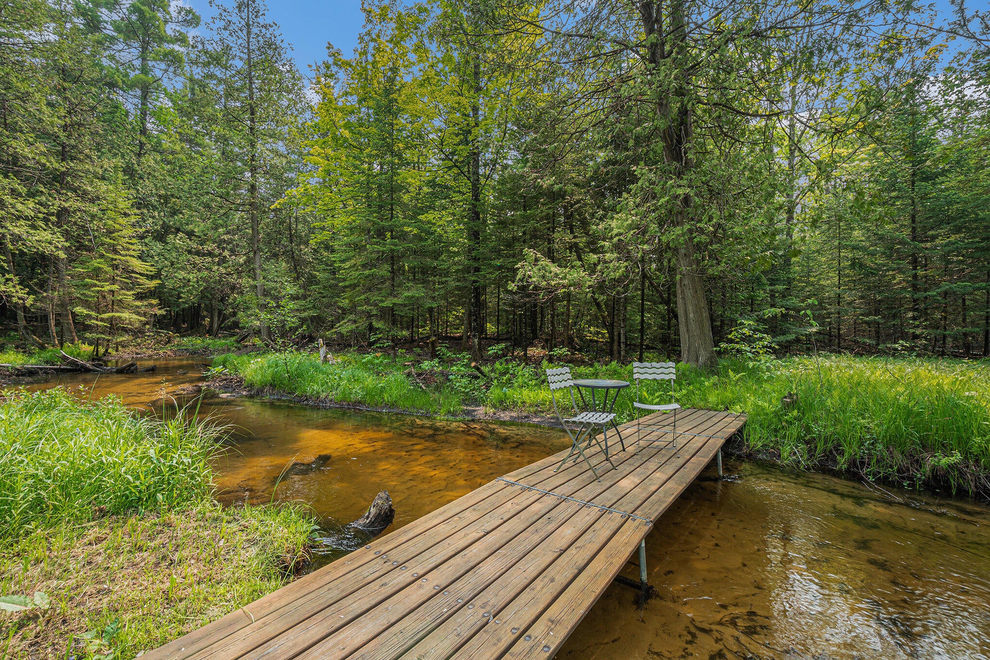 6502 Gooselake Road Indian River, MI 49749 - Photo 3 of 34 Gallery Image 3