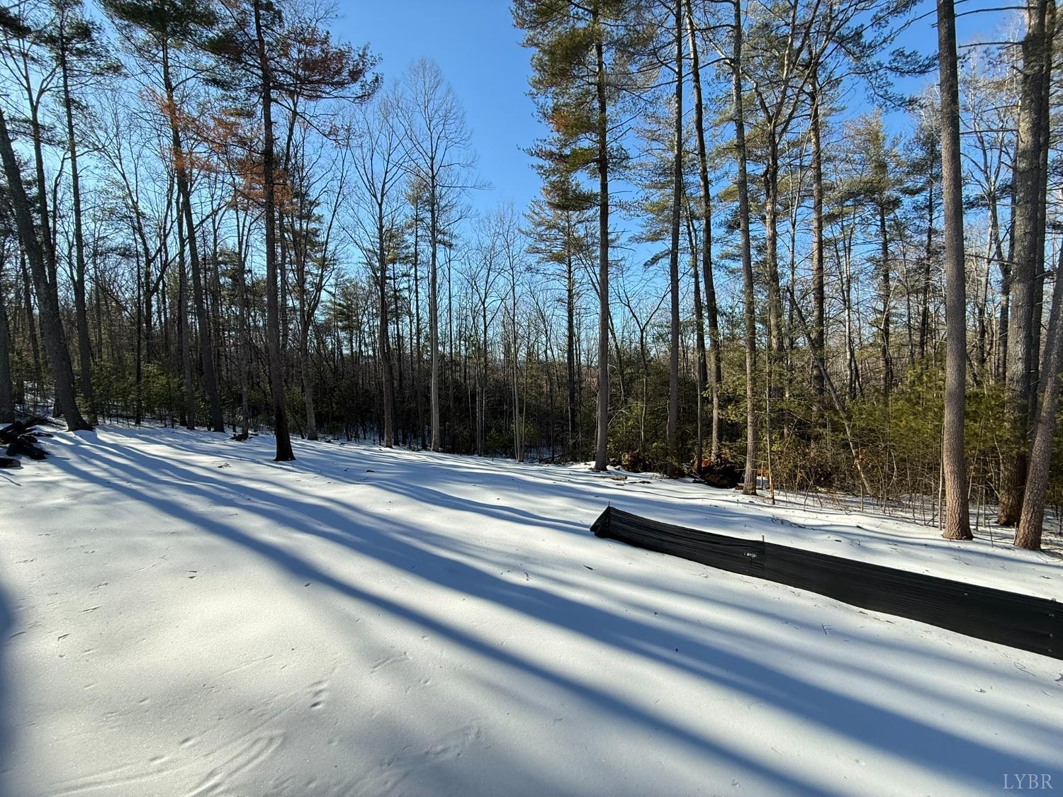 116 Blue Sky Court Monroe, VA 24574 - Photo 41 of 44