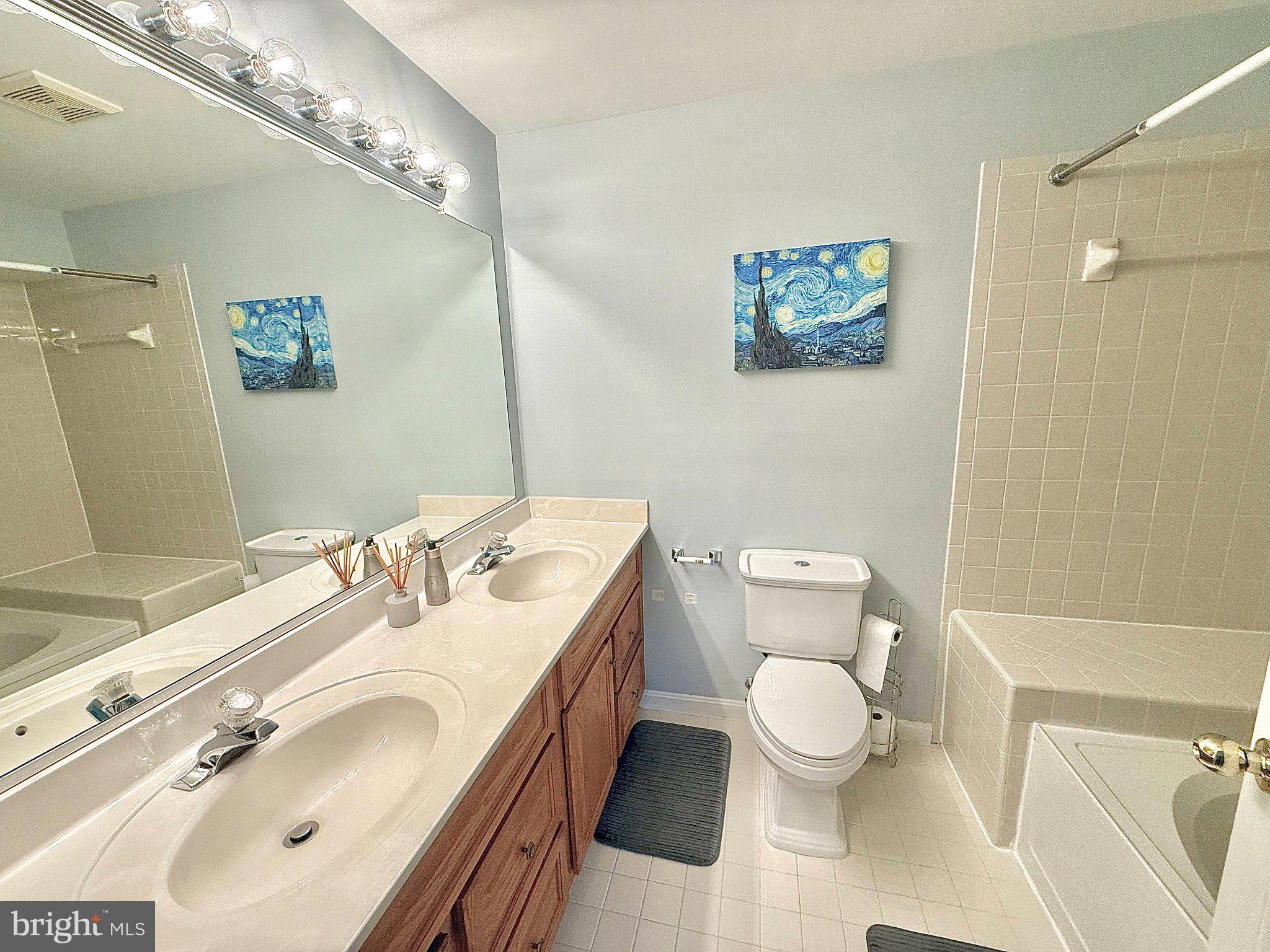 5081 Columbia Road, Unit 17 105 Columbia, MD 21044 - Photo 24 of 40 Serene bathroom with artistic flair.