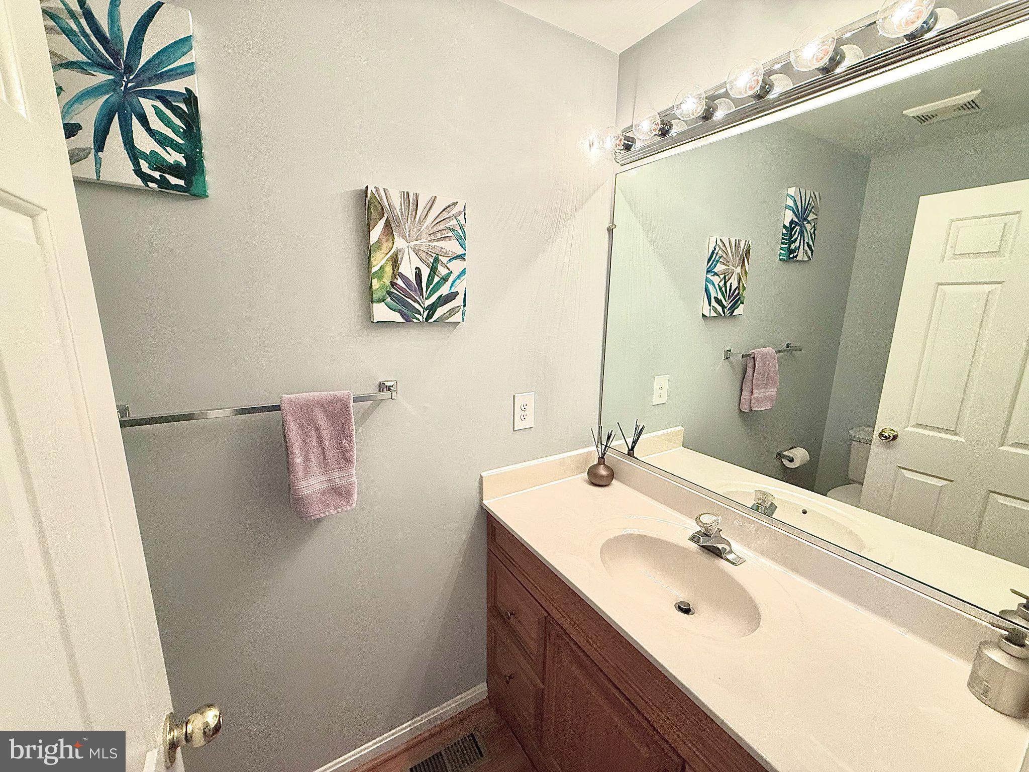 5081 Columbia Road, Unit 17 105 Columbia, MD 21044 - Photo 8 of 40 Serene bathroom with tropical accents.