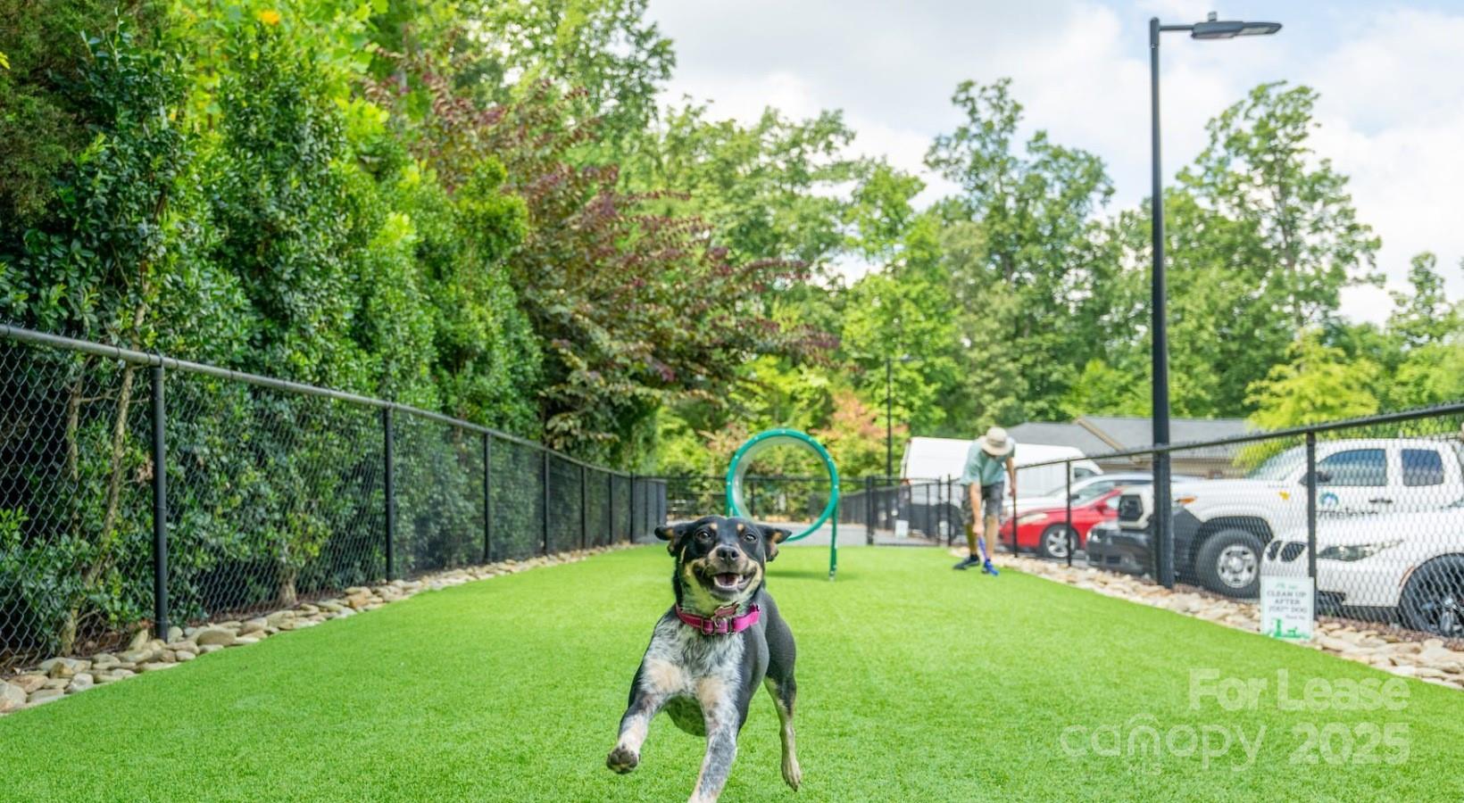 10624 Parrish Street, Unit B1 Matthews, NC 28105 - Photo 16 of 42 a garden view with a slide